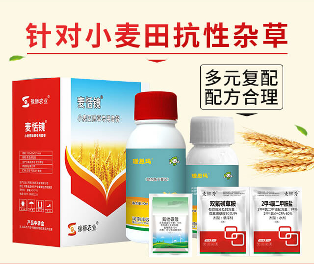 麥恬鏡-豐收樂_02