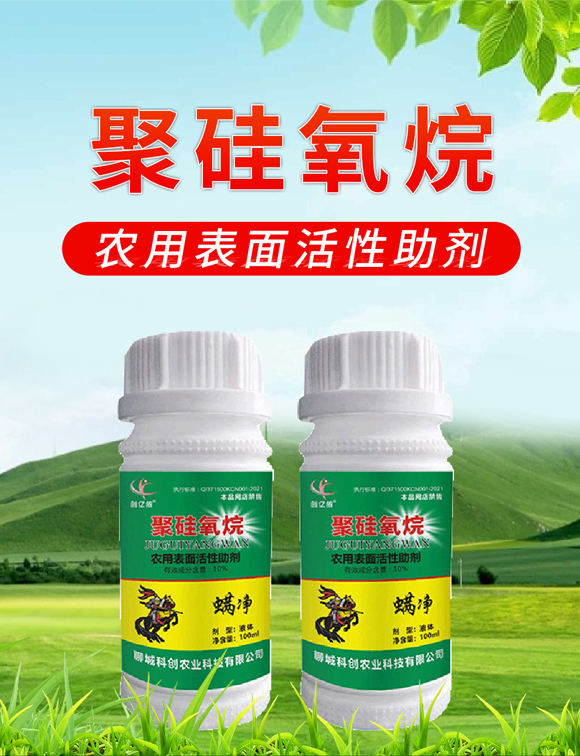 ����-��(chu��ng)�|�z-�Ƅ�(chu��ng)�r(n��ng)�I(y��)_01