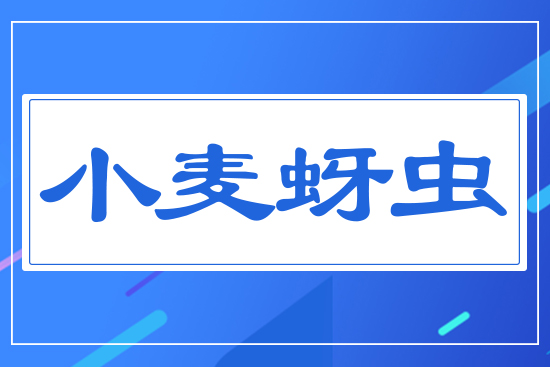 С�����x(ch��ng)