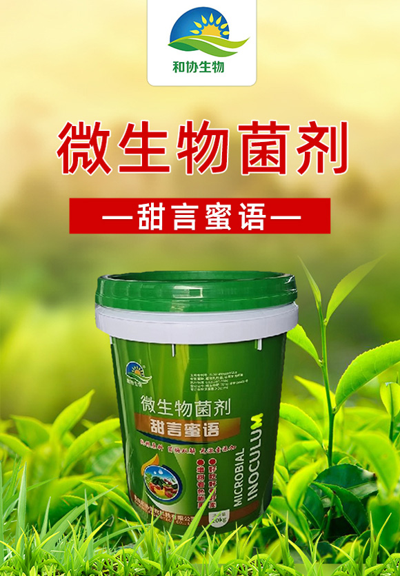 �������Z(y��)-�ͅf(xi��)����_01