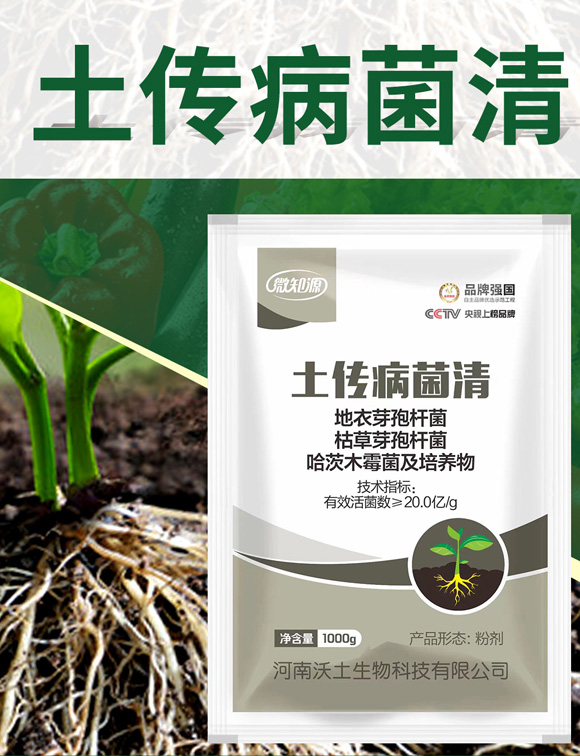 ����������-�ډѴT�S_01