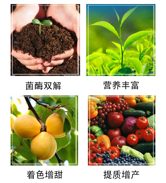 �������Z(y��)-�ͅf(xi��)����_03