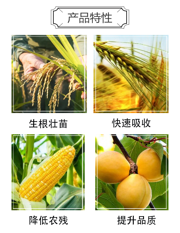 ��Ʒ�VԴ�S��ֲ���-��˹��_03