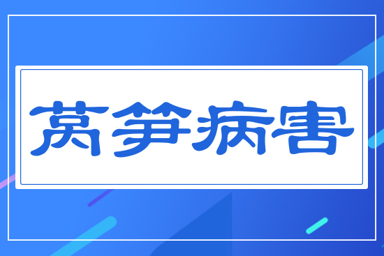 ���n�S����