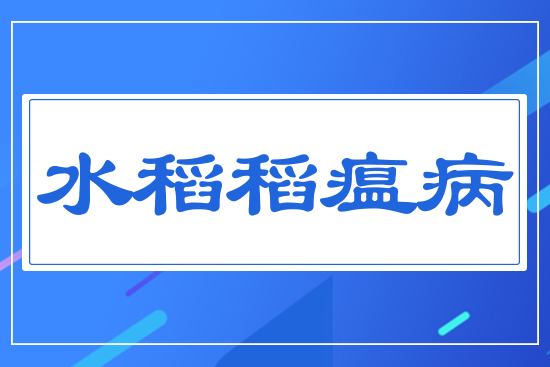 ˮ��������