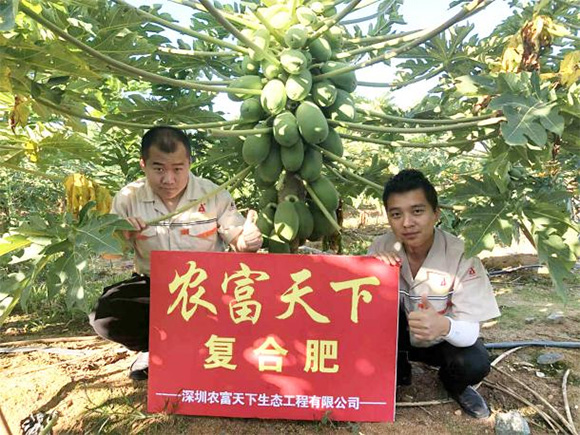 ��������������(f��)����15-4-28�r(n��ng)������3