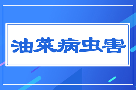 �Ͳ˲��x(ch��ng)��