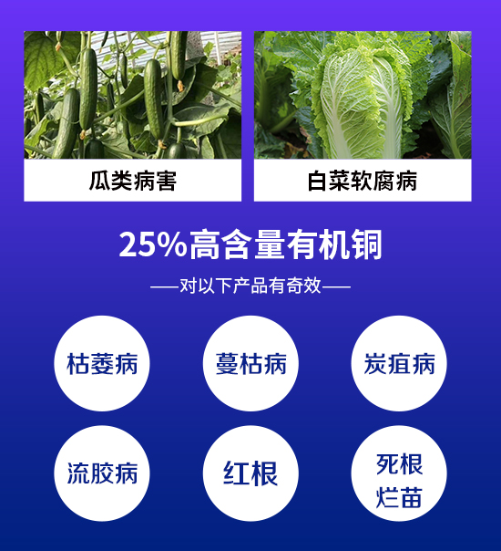 金泰亨(分享圖）_02