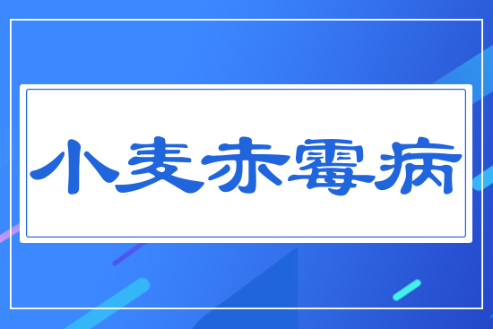 С����ù��