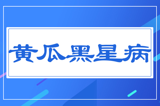 �S�Ϻ��ǲ�