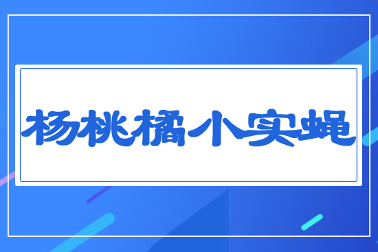 ������С��ω