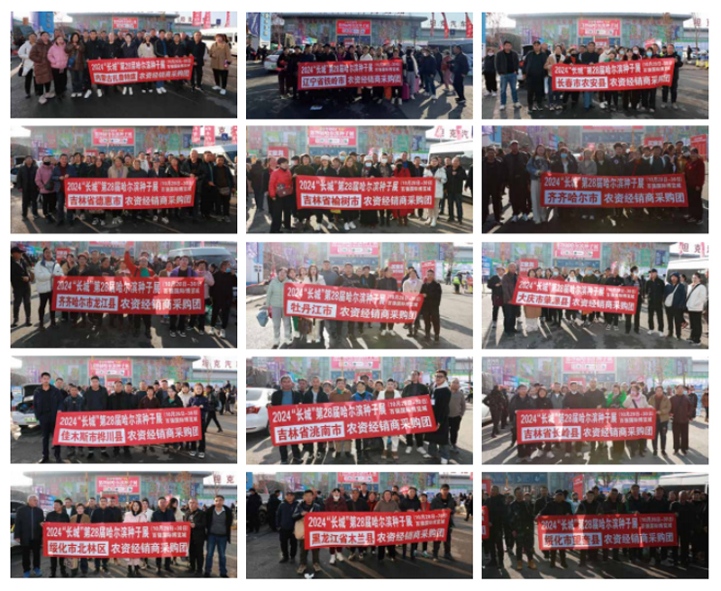 ��ɫ����(w��)