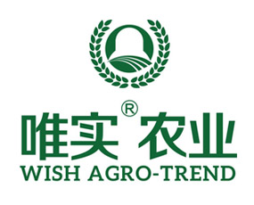 ɽ��Ψ���r�I(y��)���F�ɷ����޹�˾