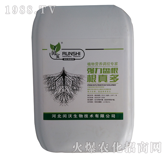 �����P�������-�c��