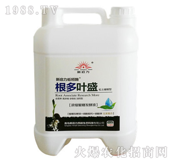 �����~ʢ-����