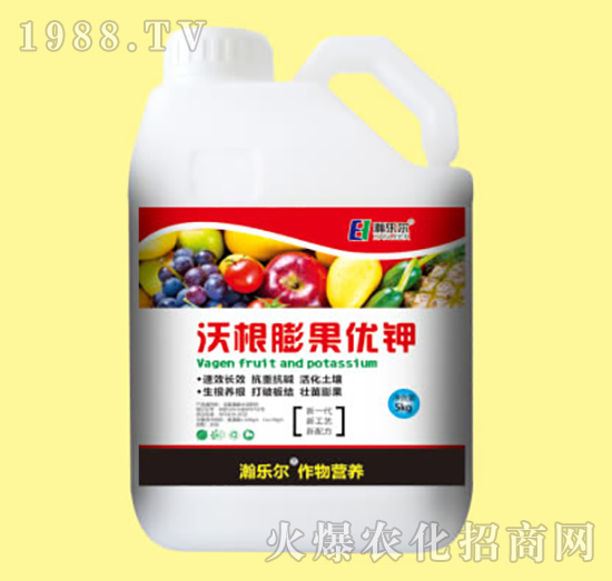 �ָ������(y��u)�-嫘�(l��)��