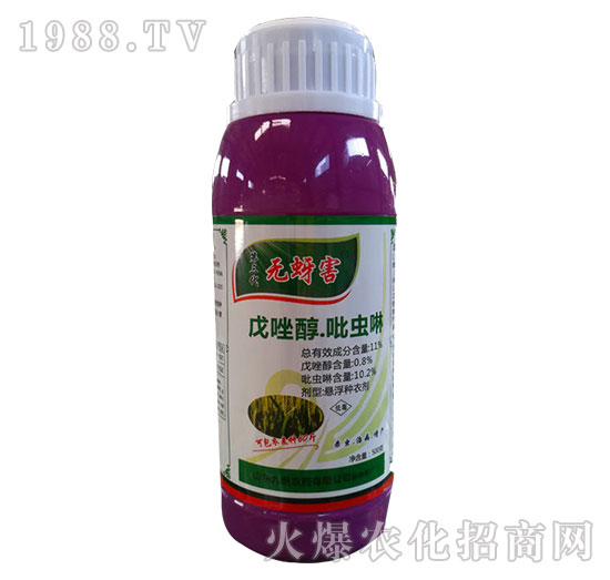 11%�������x(ch��ng)��-�o(w��)����-�읙(r��n)����