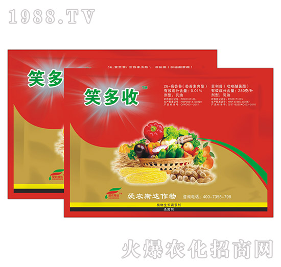 �|̦�؃�(n��i)֬-Ц����-���r(n��ng)˹�_