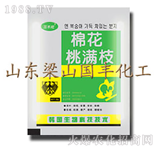 棉花桃滿枝（25g）-梁山國(guó)豐