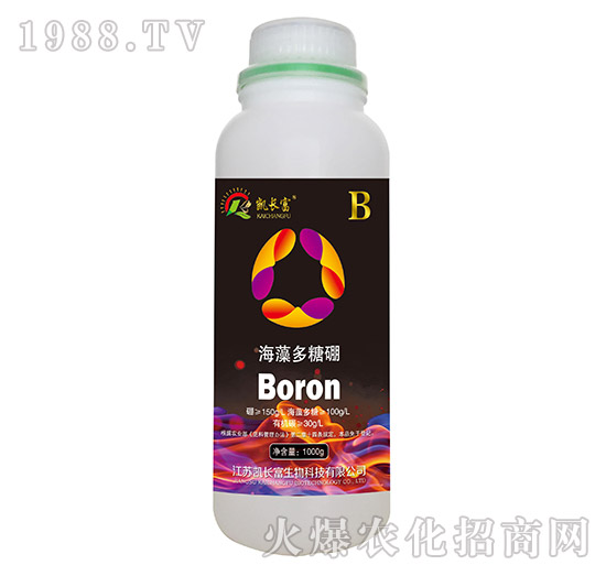 ���������-�P�L��