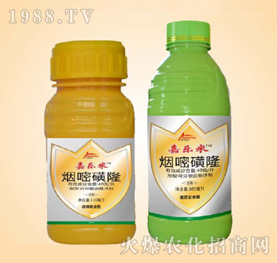 ���׻�¡-�Θ���-ͬ�S