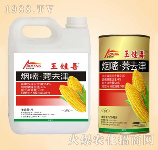 24%���ס�ݬȥ��-����ϲ-ͬ�S