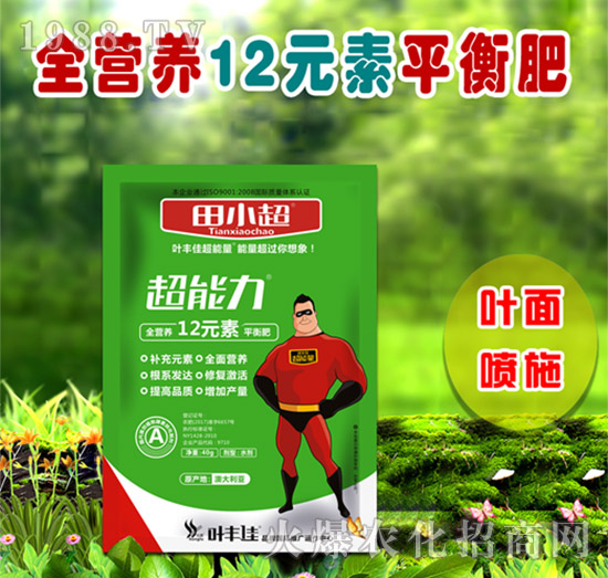 全營(yíng)養(yǎng)12元素平衡肥-田小超超能力