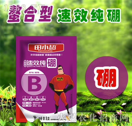 速效純硼-田小超