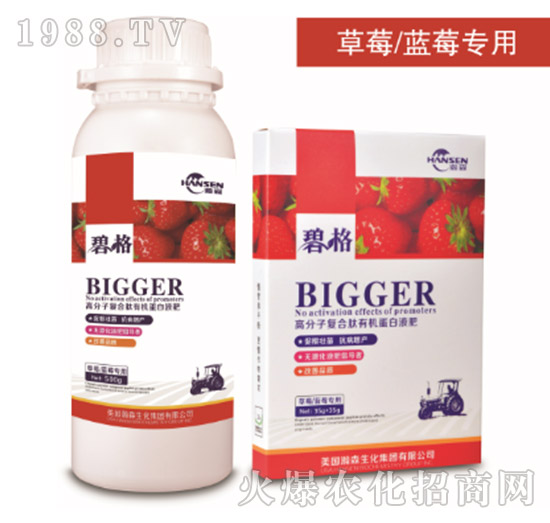 草莓專用高分子復(fù)合肽有機蛋白液肥-碧格-瀚森農(nóng)業(yè)
