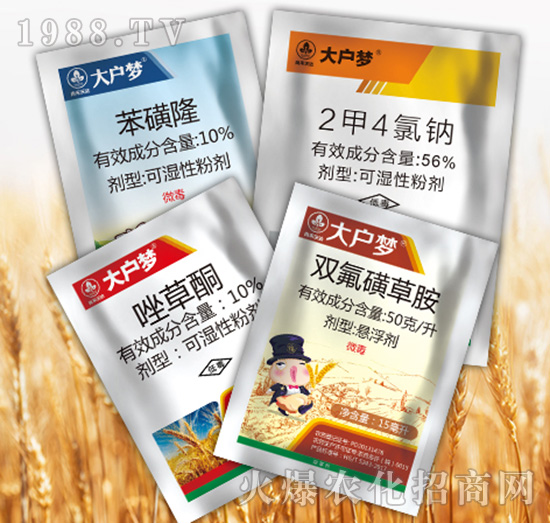 ����4�M��-�к����_