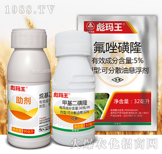 �묔���M��-�к����_