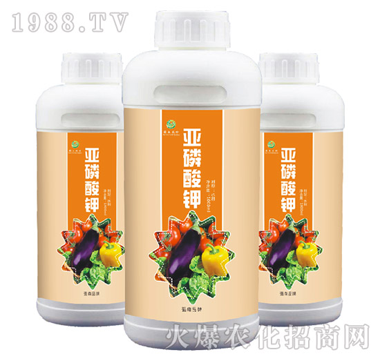 �������-��ɭ�r(n��ng)��