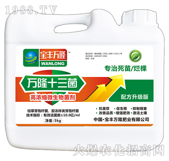 �ߝ�s΢�������-�f¡ʮ����-���S�f¡