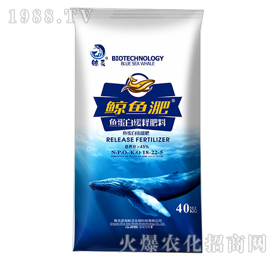 �~���׾�ጷ���18-22-5-�L�~��-����