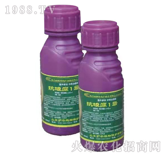 ������1̖-�o�r(n��ng)