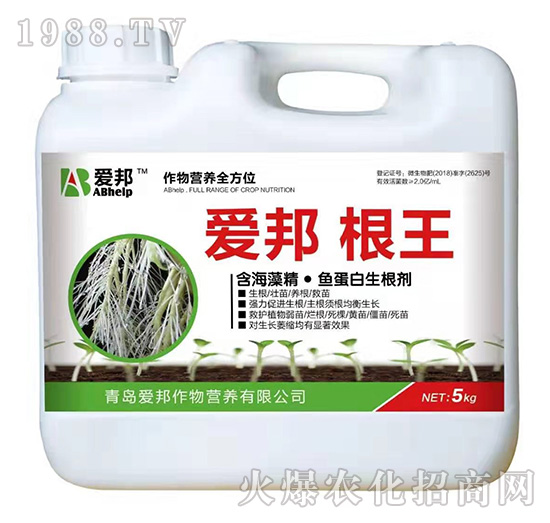 ����-�۰�