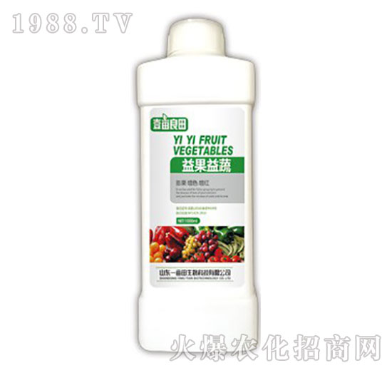 �������-Ҽ������