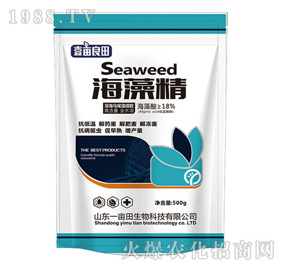 ���徫-Ҽ������