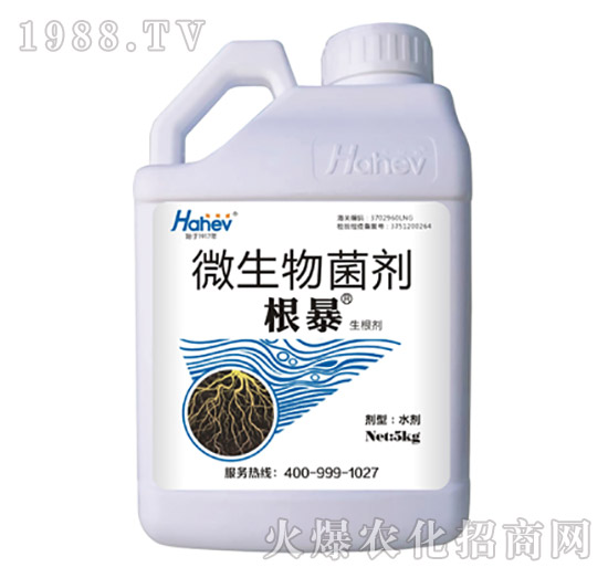 ΢�������-����-������