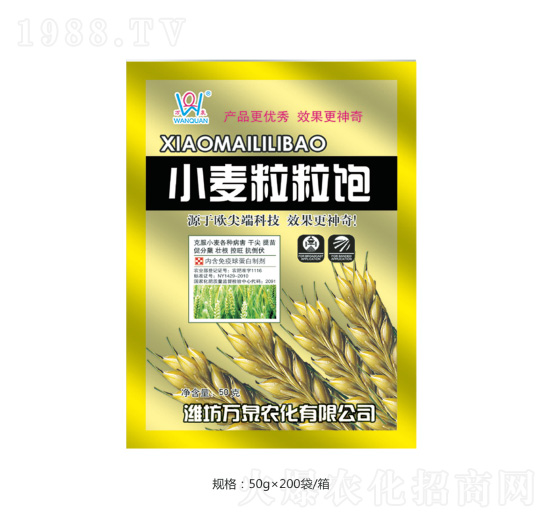 小麥粒粒飽-萬泉農(nóng)化