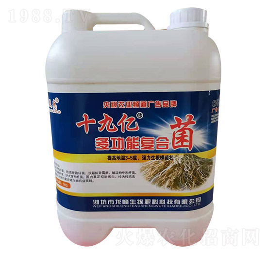 ʮ�Ń|�๦�܏�(f��)�Ͼ�-������