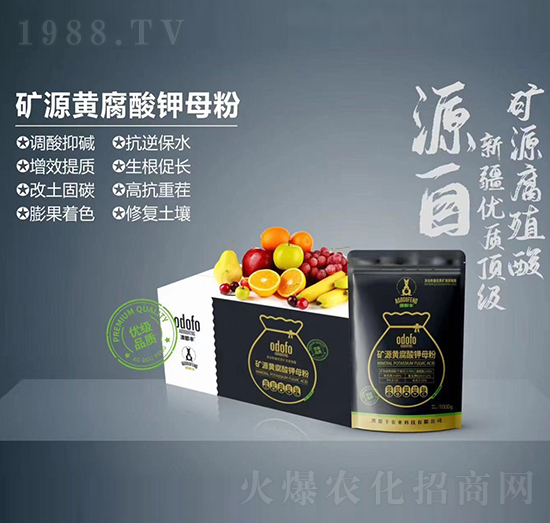 �VԴ�S�����ĸ��-�Ķ��S