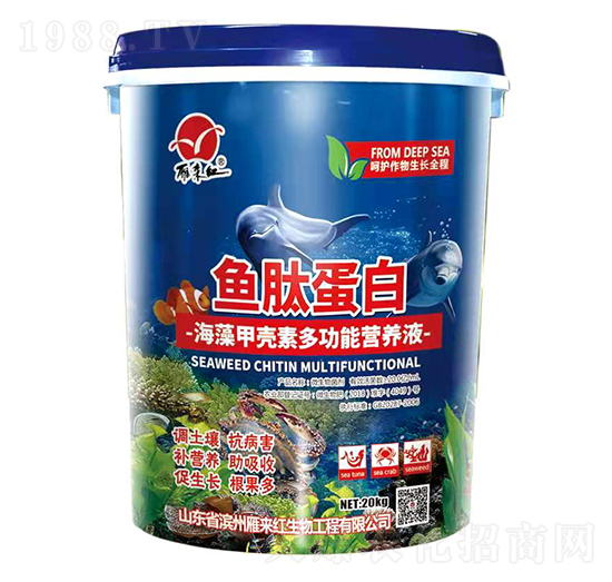 ����ך��ض๦�ܠI(y��ng)�B(y��ng)Һ-�~(y��)�ĵ���-���(l��i)�t