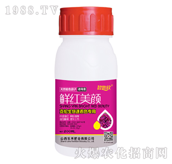 �r�t���-����