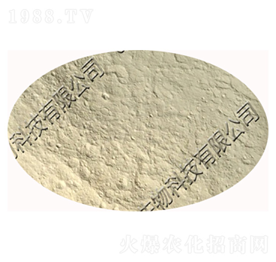 �z�����ѿ�ߗU�����z�|(zh��)ѿ�ߗU����-�������