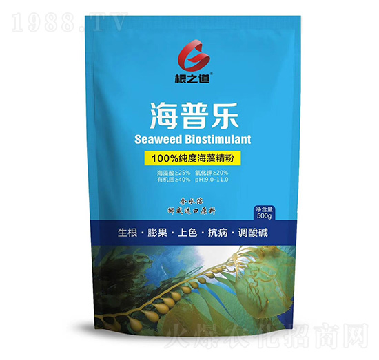 ���՘�-��֮��