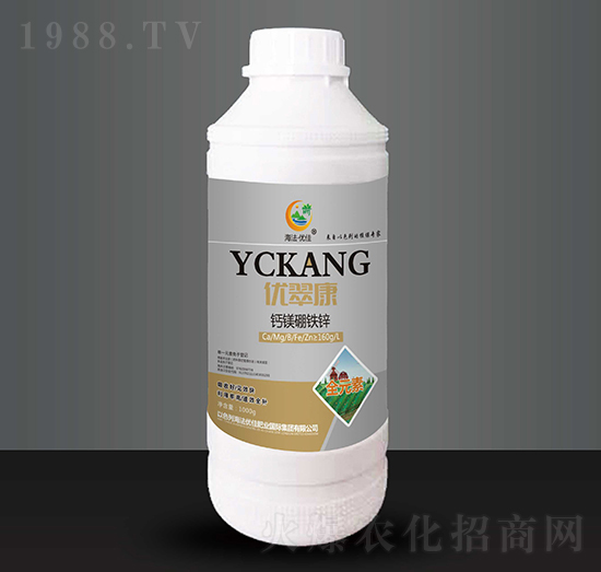 �}�V���F�\-��(y��u)�俵-������(y��u)��