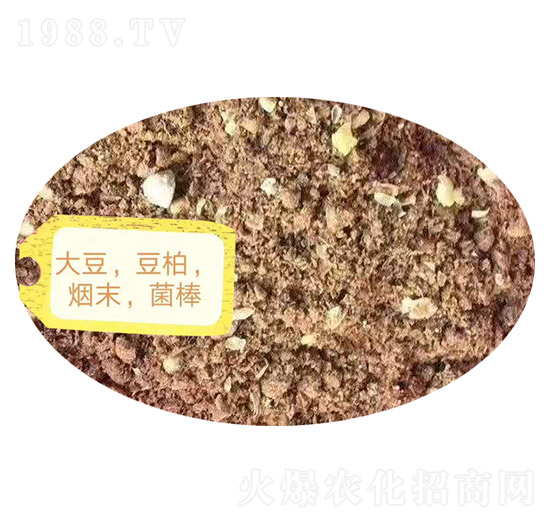 �󶹡���������ĩ��������-�Z�M�}