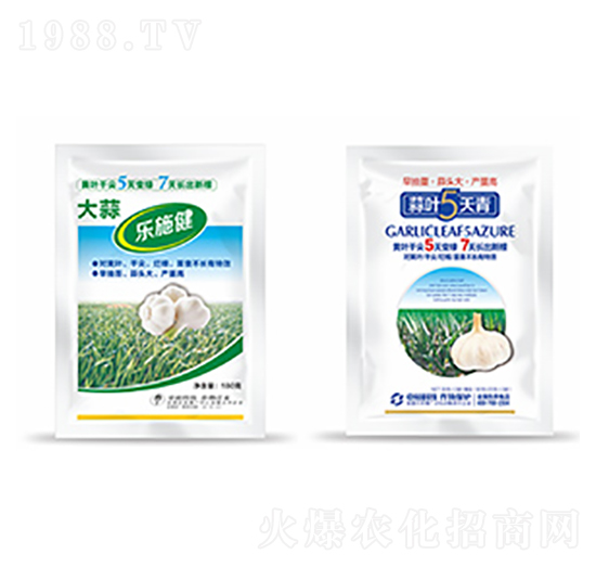 大蒜樂(lè)施健+蒜葉5天青-中?？萍? style=