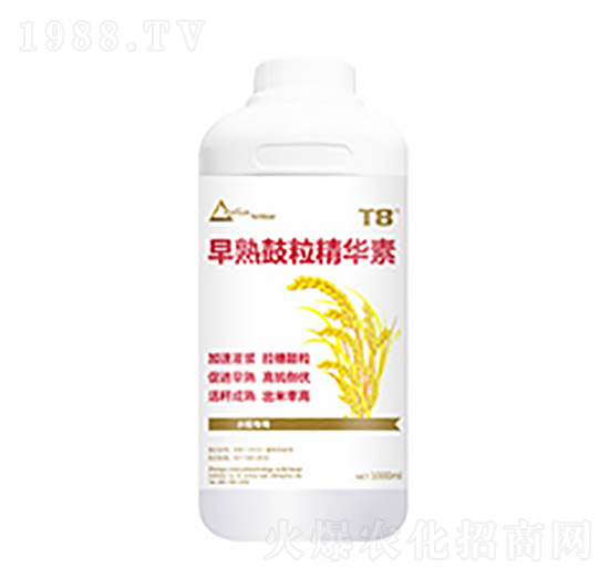 早熟鼓粒精華素-中?？萍? style=